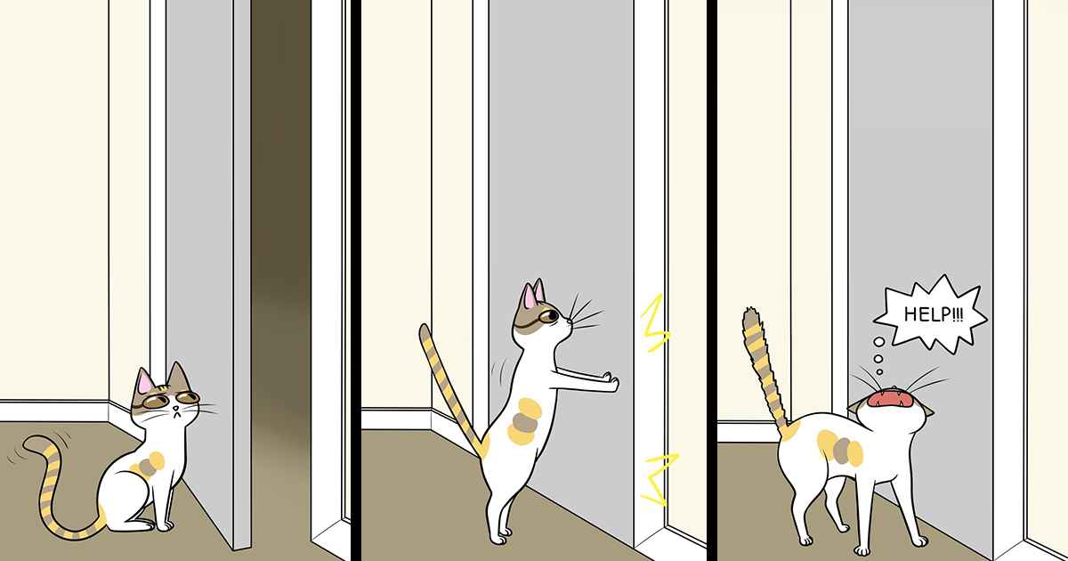 40 Adorable Comics That Show The Life Of A Couple With Their Cat - grandgoldman.com