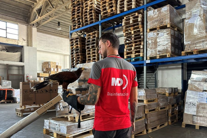 Falconry: The Only Effective Service to Deter Unwanted Birds