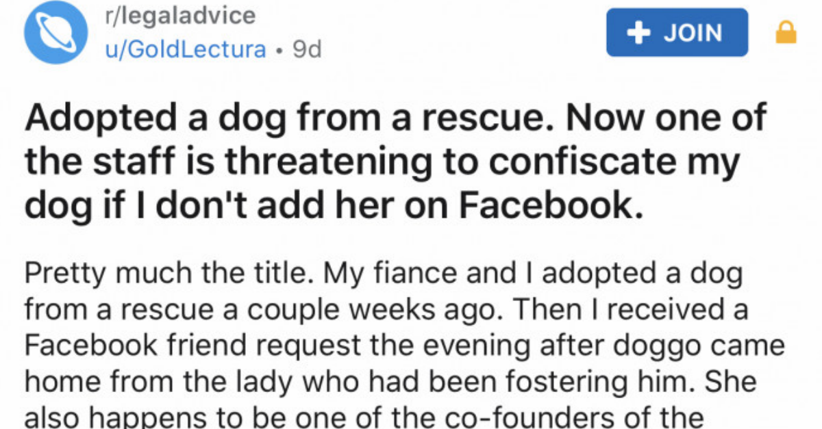 Dog Owner Doesn’t Add Rescue Worker On Facebook, So They Threaten To Take Her Dog - grandgoldman.com