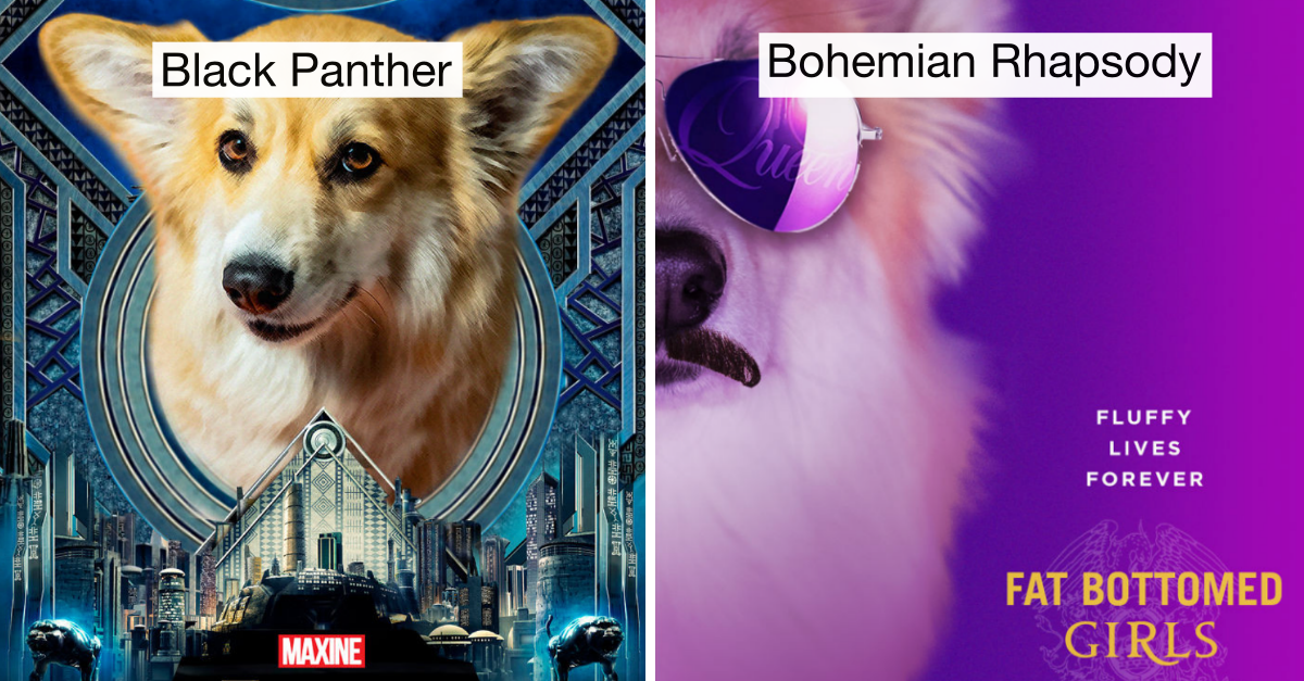 Owner Photoshopped And Recreated Famous Movie Posters With His Dog & It’s Pawsome