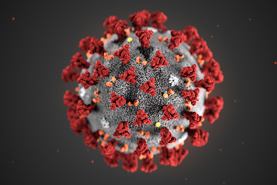 Coronavirus Guide: Symptoms, Risks & Expert Advice for Home Safety