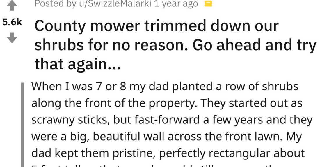 Dad Takes Hilarious Revenge On County Mower For Cutting Their Shrubs