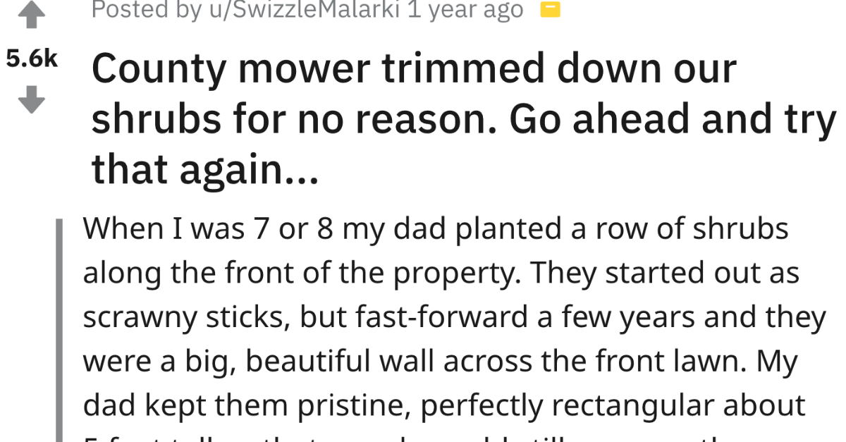 Dad Takes Hilarious Revenge On County Mower For Cutting Their Shrubs