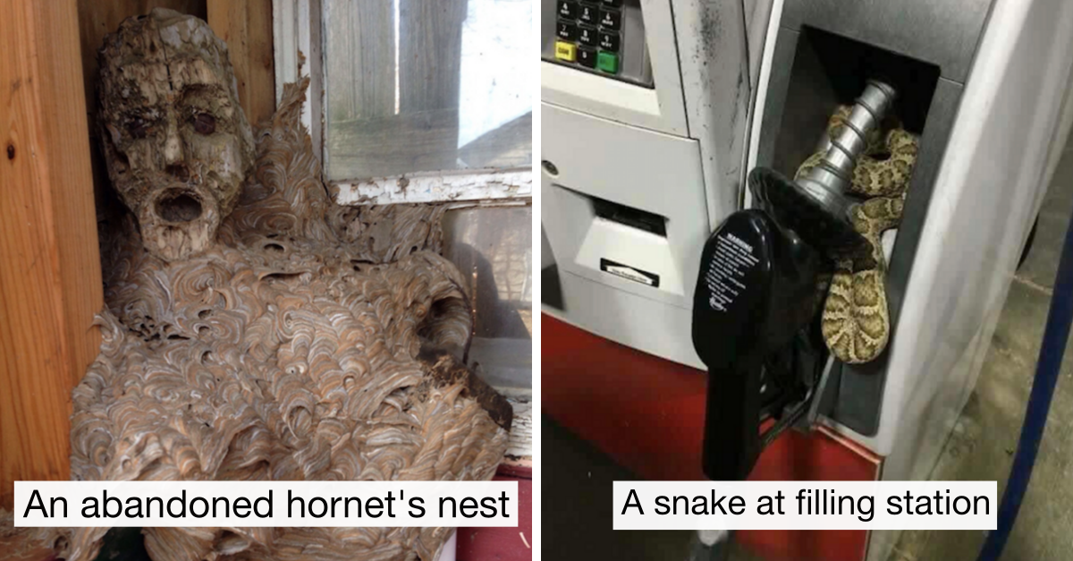 25 Normal Looking Photos That Are Straight From The Land Of Nightmares