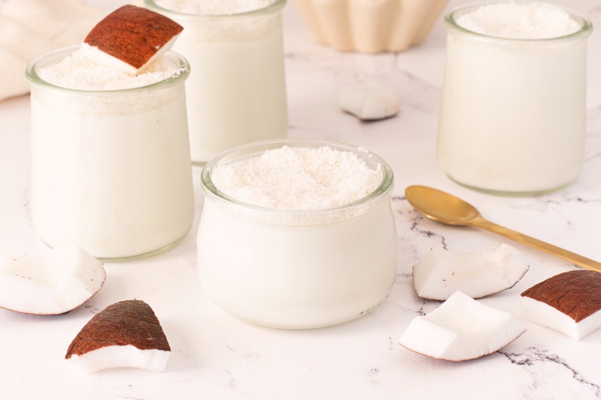 Coconut Mousse Cream Recipe: Easy No-Bake Tropical Dessert