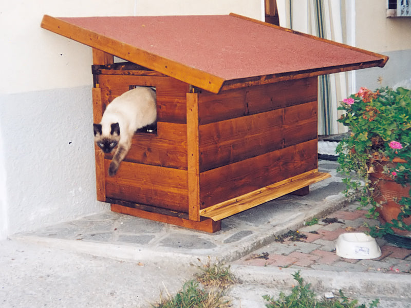 Build a Heated Cat House: Cozy DIY Project for Cold Days