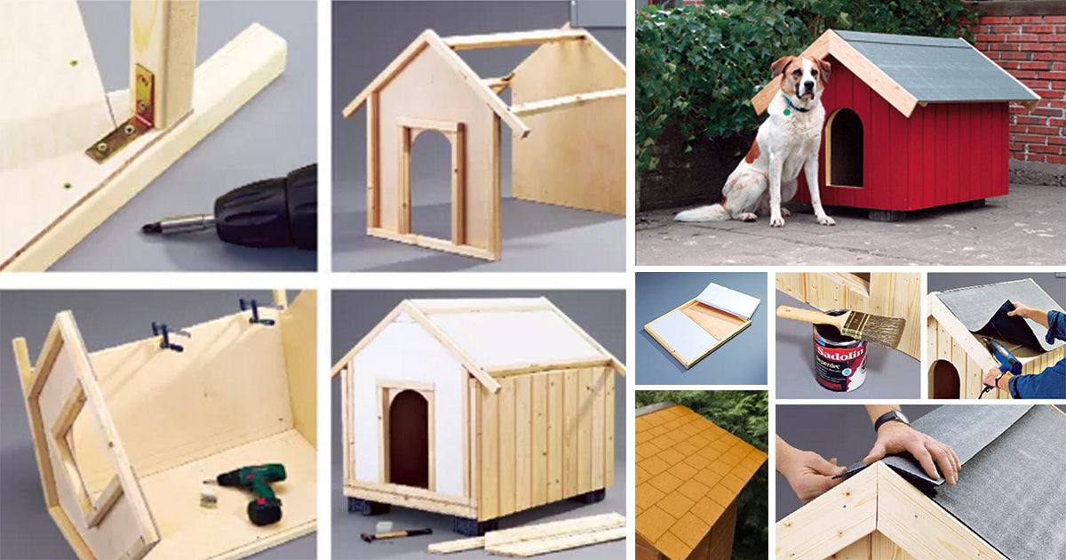 Build an Insulated Dog House with Polystyrene – DIY Guide