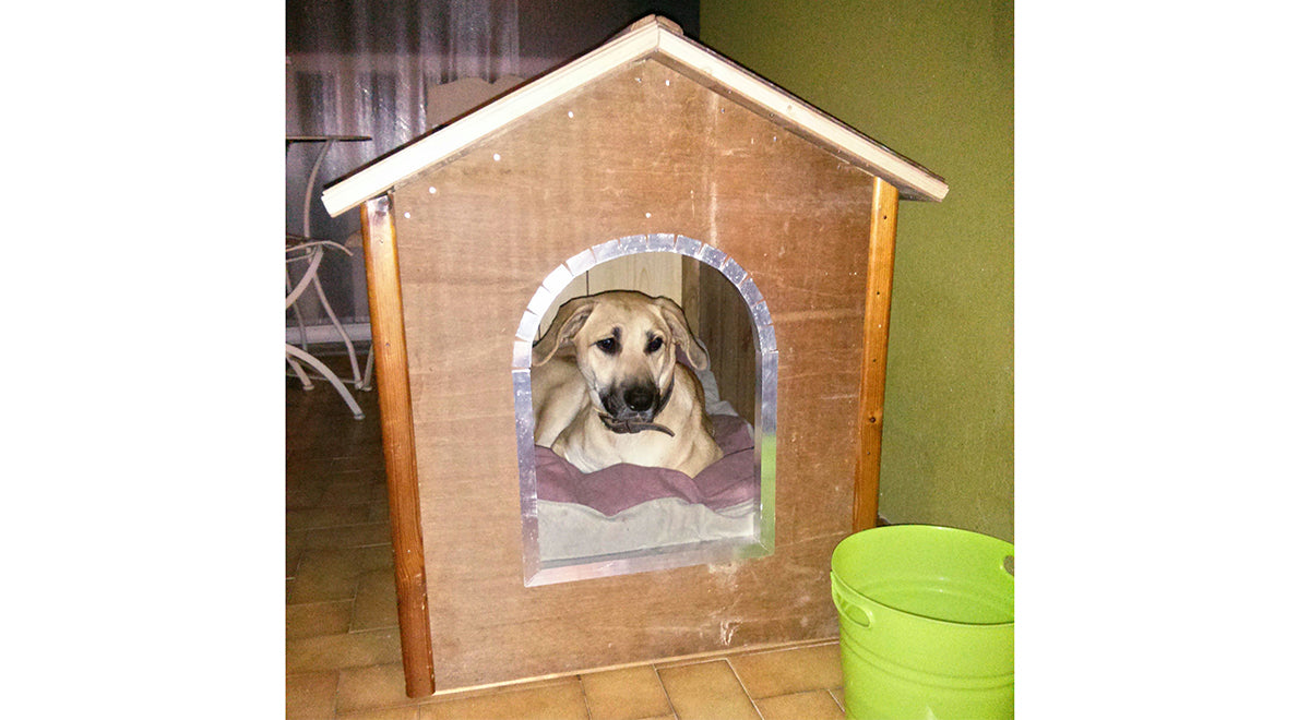 DIY Dog House with Removable Roof from a Wooden Crate