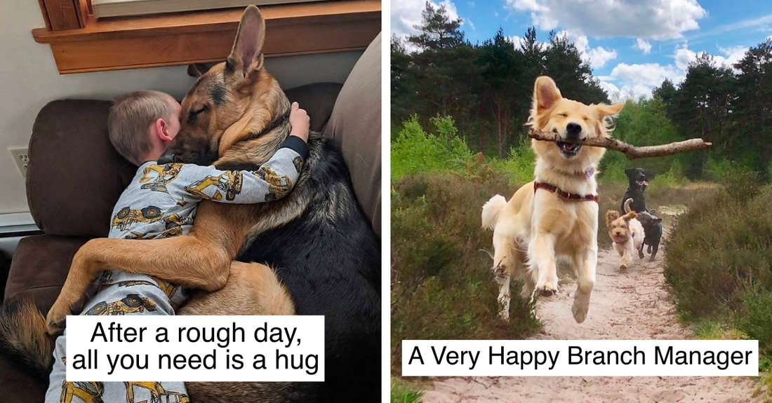 25 Most Aww Inducing Animal Photos You Will See On The Internet Today