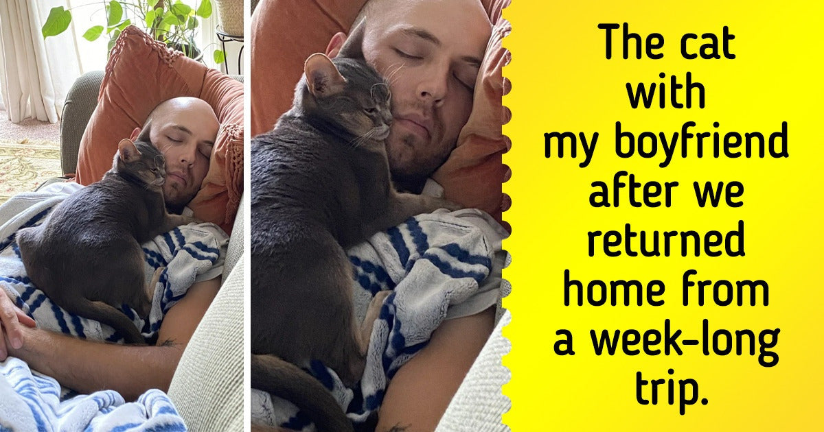 15 Feel-Good Pics That Will Make Your Day Better
