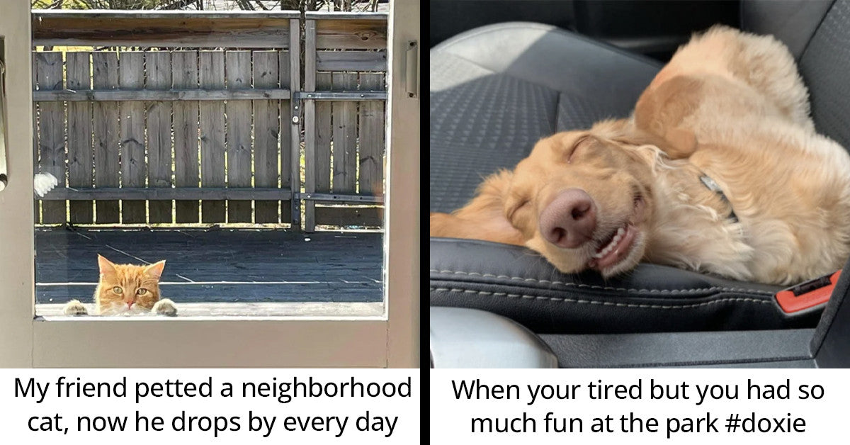 20 Wholesome Posts To Get You Through The Week