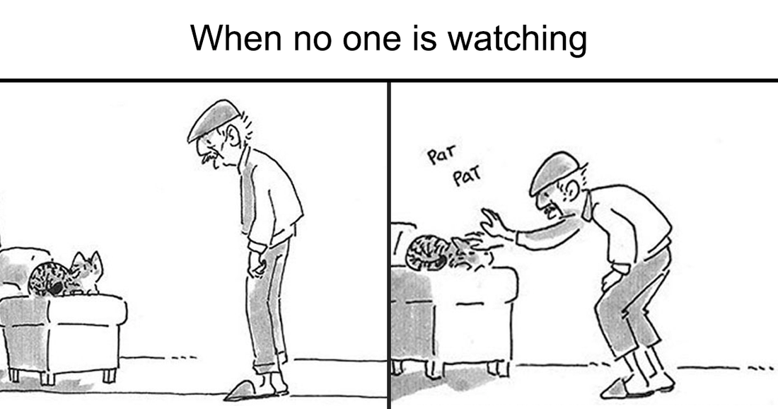 Daughter Illustrates Her Dad’s Bitter-Sweet Relationship With Their Cat Who Didn’t Like Cats - grandgoldman.com