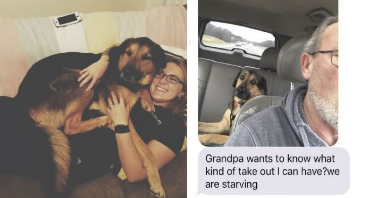 Woman Leaves Her Dog With Dad, Receives Most Wholesome And Hilarious Updates