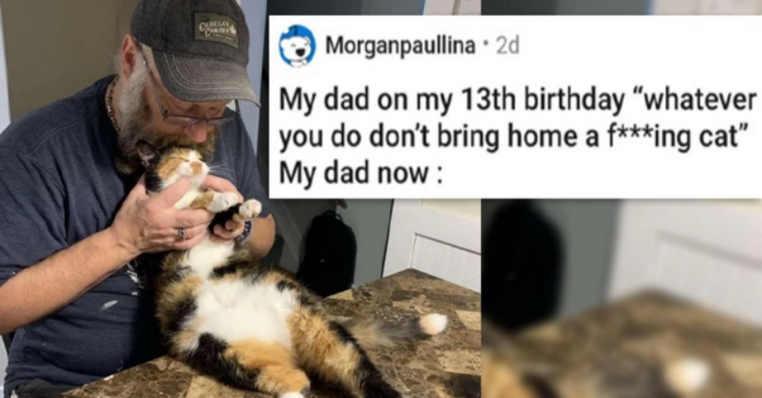 Dads Who Didn’t Want A Cat In Their House But Ended Up Falling Deeply In Love With Cats - grandgoldman.com