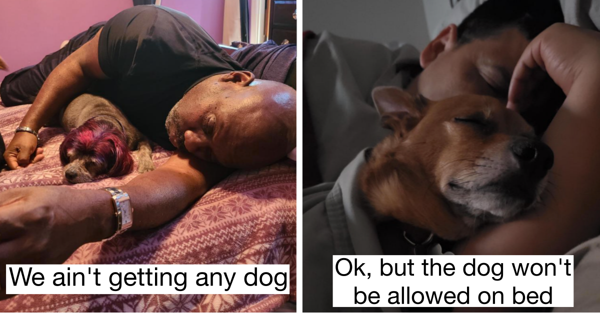 40 Dads “Refusing” To Get Along With Dogs - grandgoldman.com