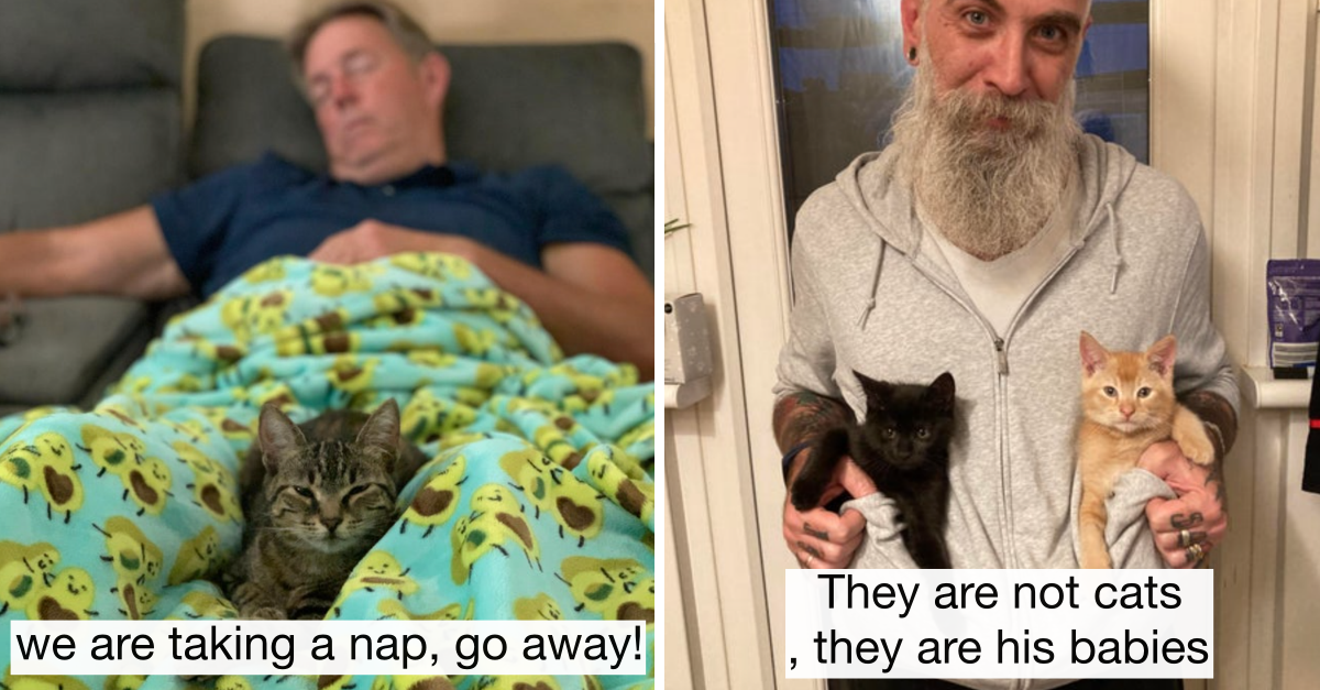 40 Pics Of Dads With Cats They Didn’t Want In Their House - grandgoldman.com