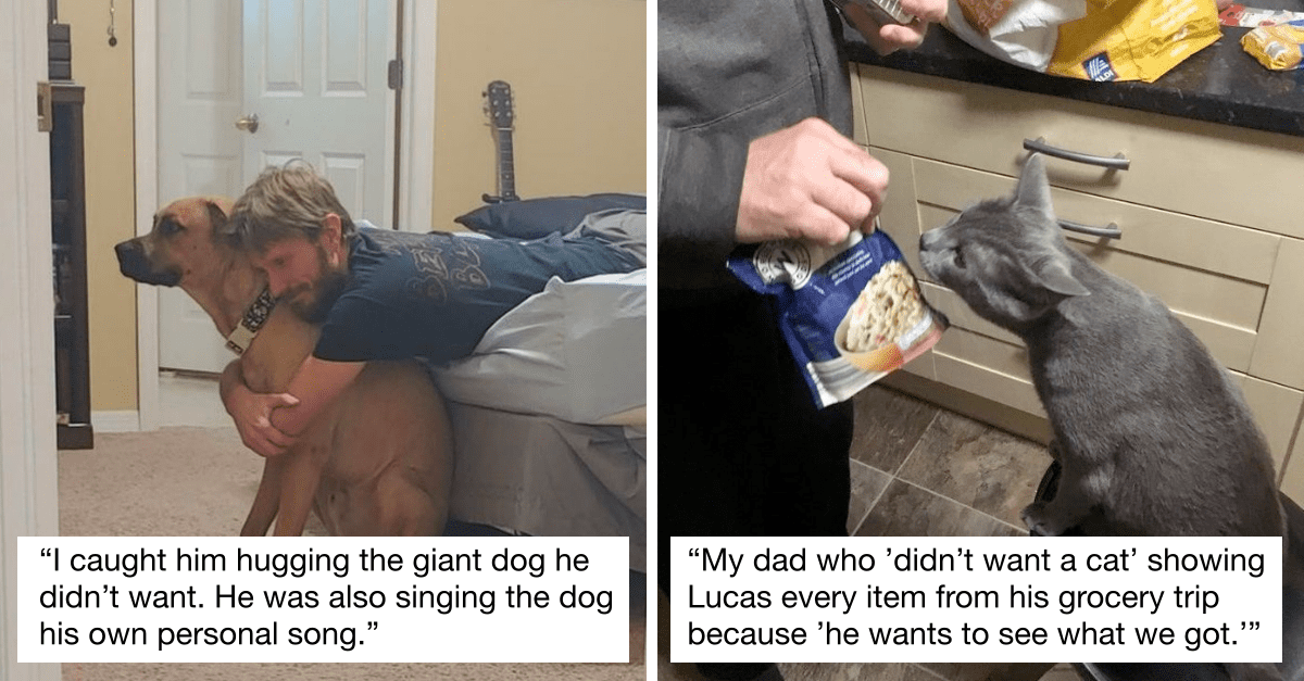 16 Wholesome Photos Of Dads With Cats And Dogs They “Never Wanted” At Home