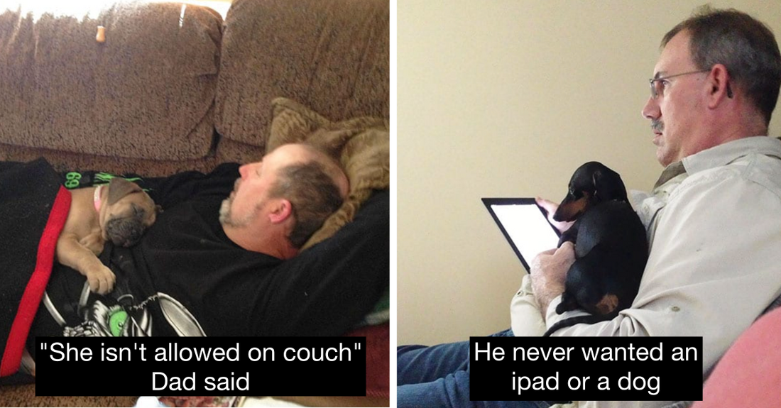 50 Dads Who Didn’t Want The ‘Damn Dogs’ In Their House