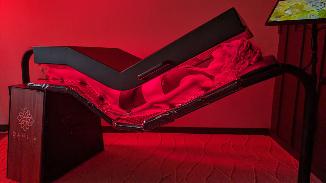 Dahlia Red Light Therapy Reviews - My Personal Recommendations