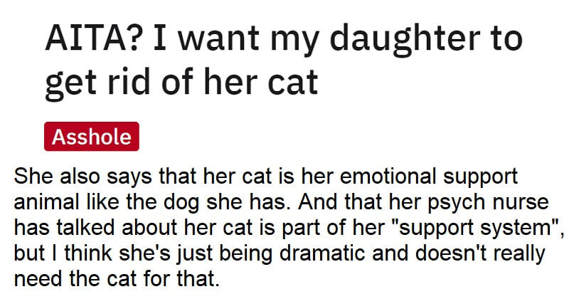 Mother Faces Backlash After Admitting To Hating Her Daughters Emotional Support Cat - grandgoldman.com