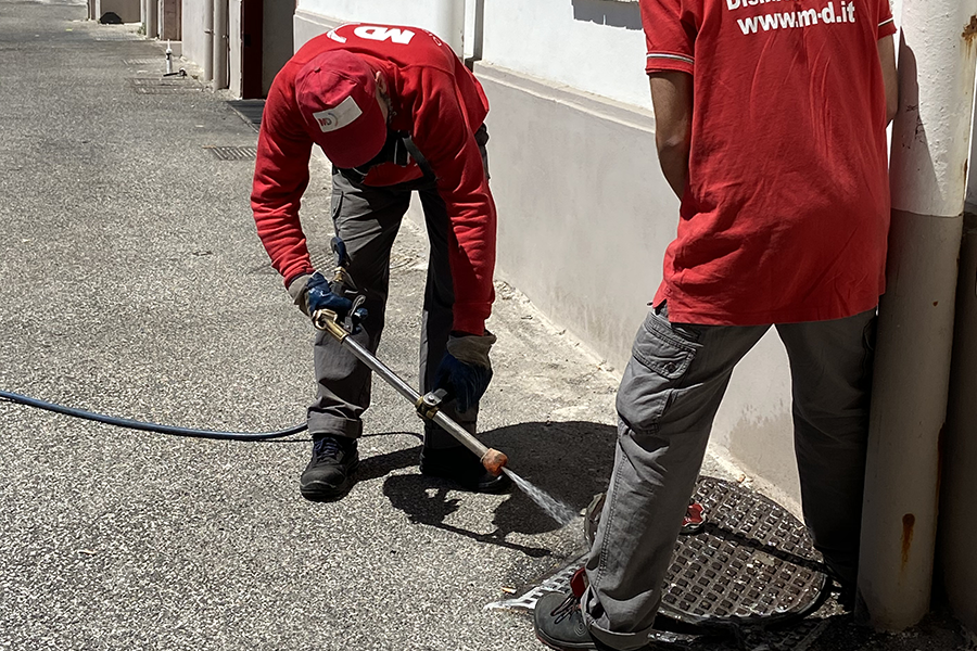 Expert Cockroach Control for Condos: When & How to Act