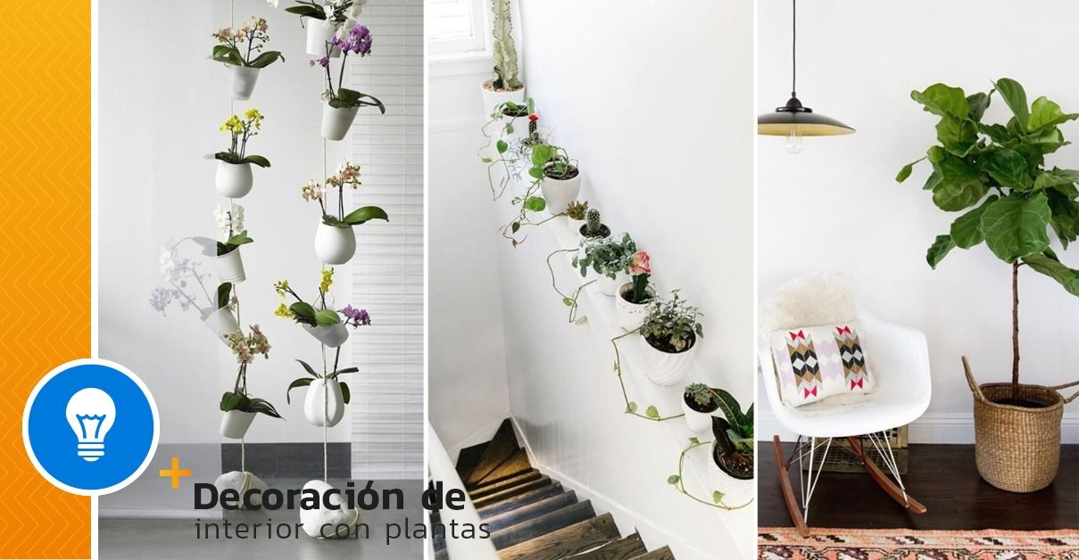 Original ideas to decorate the interior of your home with plants - grandgoldman.com