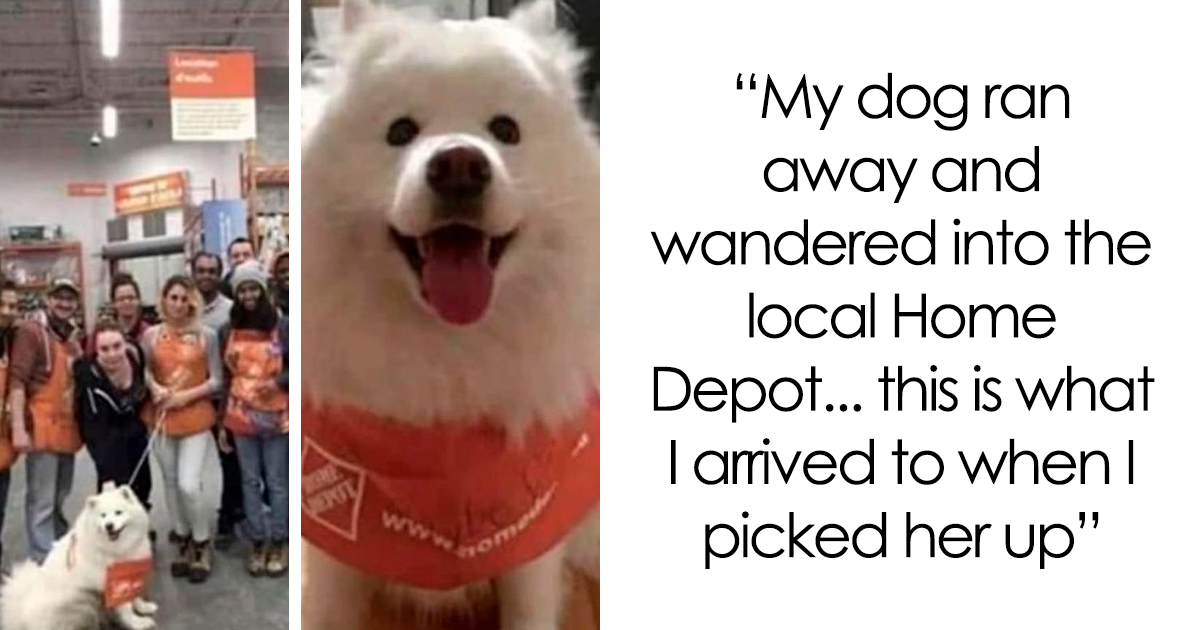 30 Random Feel-Good Posts That Will Cheer You Up