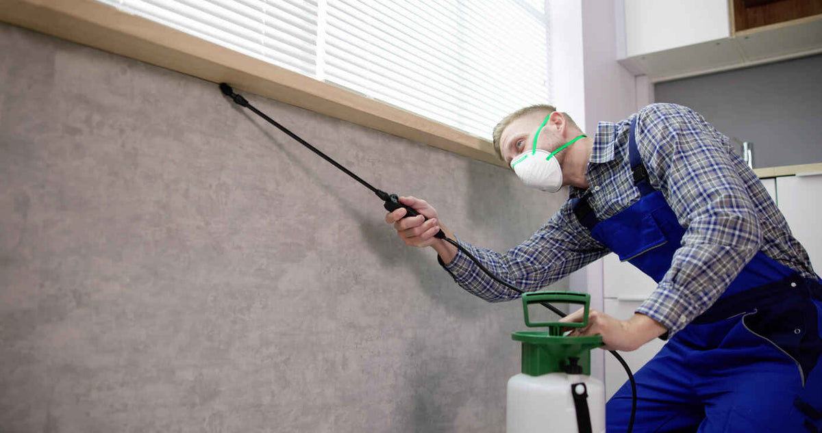 Pest Control & Rodent Laws: Expert Guide for Property Owners