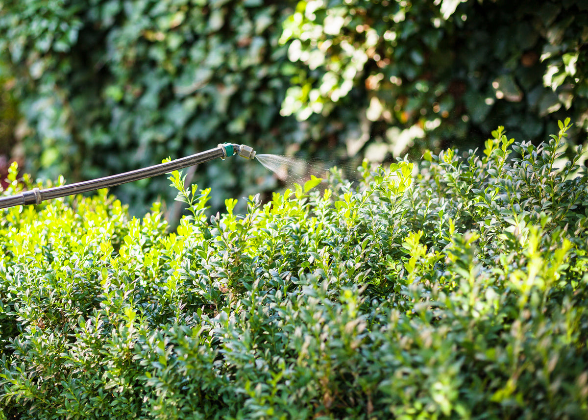 Integrated Garden Pest Control: Complete Insect & Rodent Management