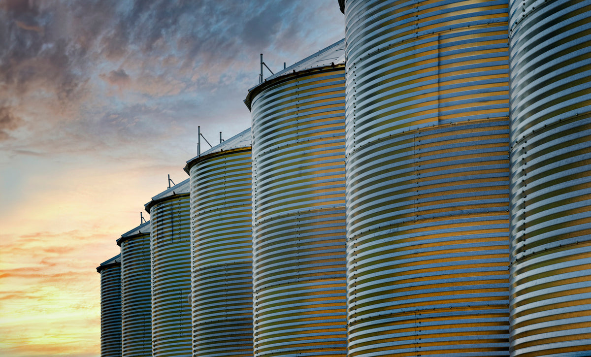Silo Disinfection & Sanitization: Complete Guide for Safe Storage