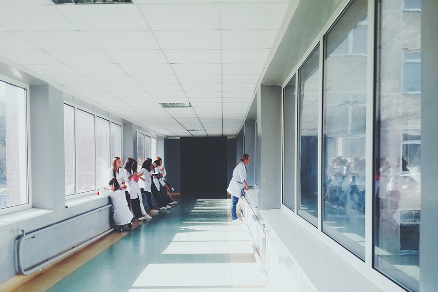 Hospital Pest Control: Protecting Health Facilities from Infestations