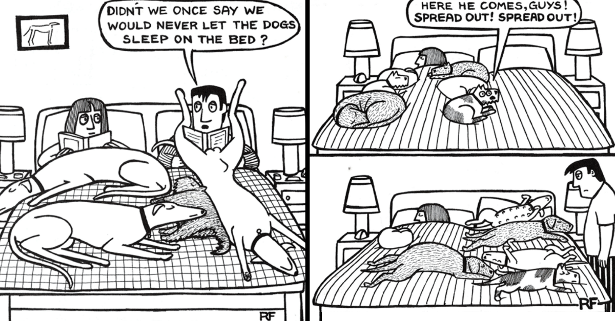 11 Comics About The Secret Life Of Dogs By ‘Off The Leash’ Every Dog Owner Can Relate