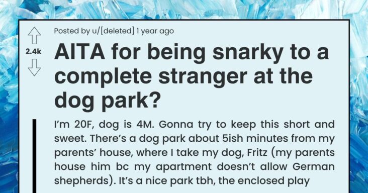 Stranger Tells Dog Owner To Not Play With Her Dog At The Dog Park, Gets Put In Place