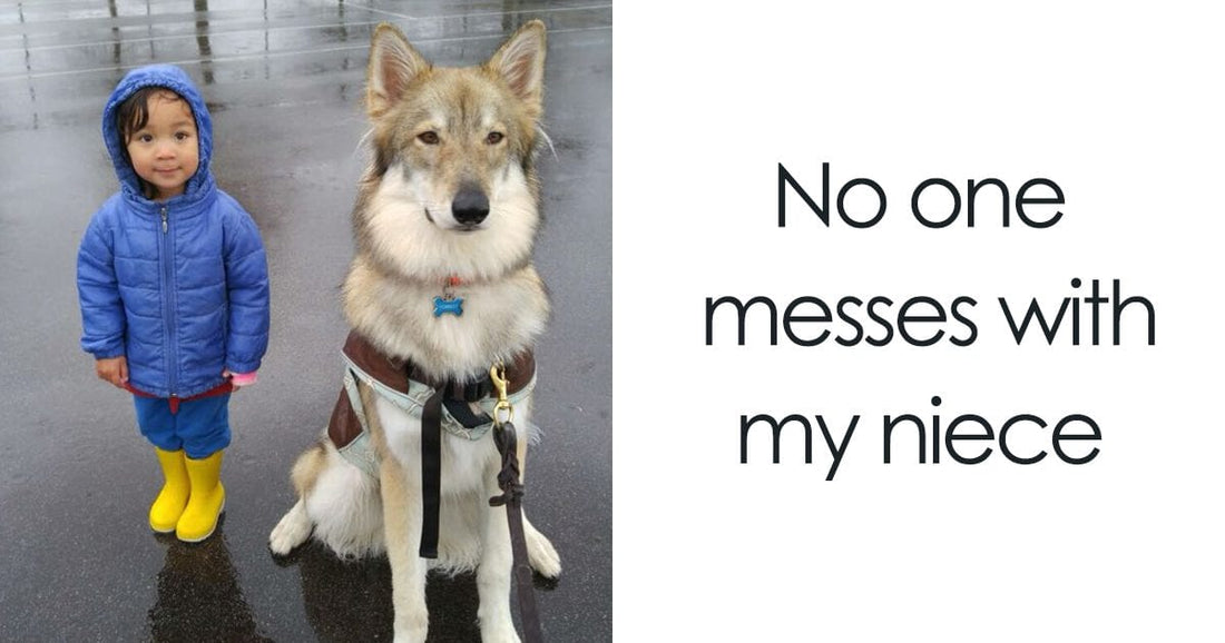 You Might Be A Cat, If You Don’t Want A Dog For Your Kids After Seeing These 20 Pics