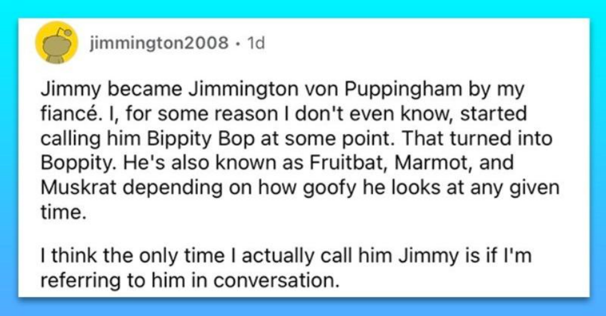 Pet Owners Shared Their Dogs’ Names That Progressed Into Super Weird (But Awwdorable) Nicknames - grandgoldman.com