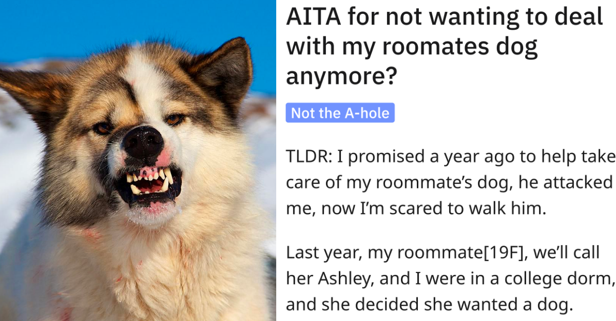 Woman Doesn’t Want To Deal With Her Roommate’s Dog Anymore, Asks If She Is In The Wrong