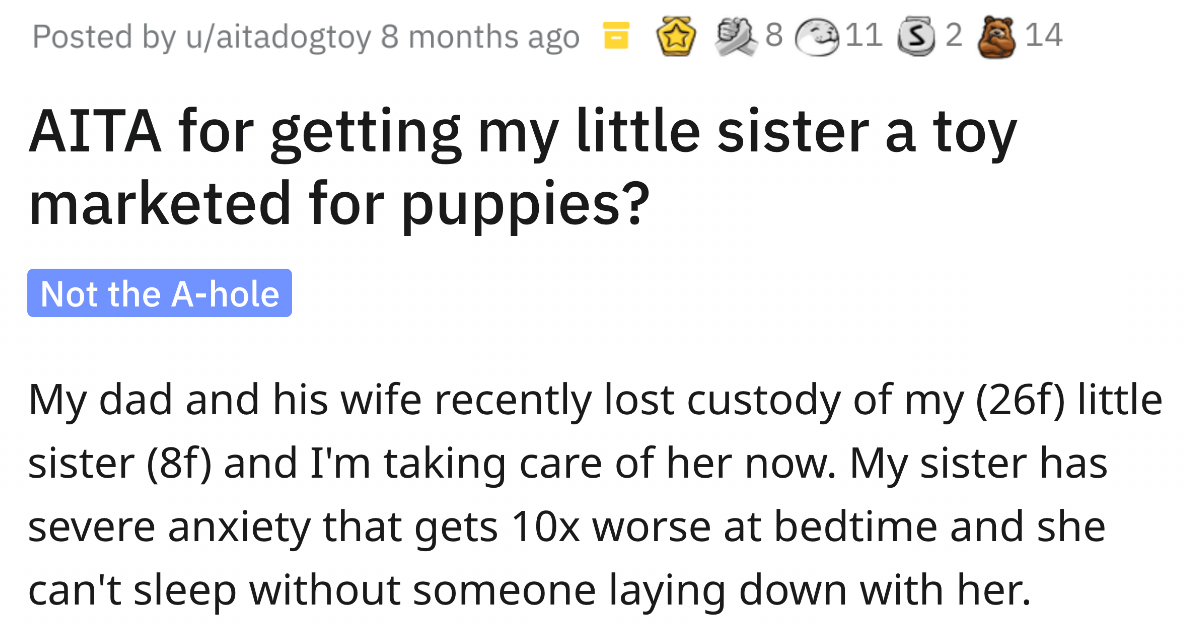 Girl Asks If She’s Wrong For Buying A Puppy Toy For Her 8-Year-Old Sister - grandgoldman.com