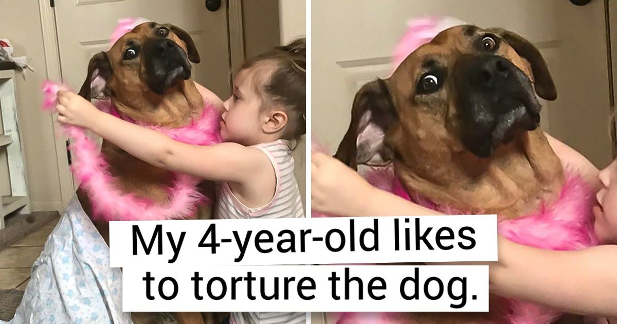 15 Pics That Show How Patient Animal Love Can Be for Their Young Owners