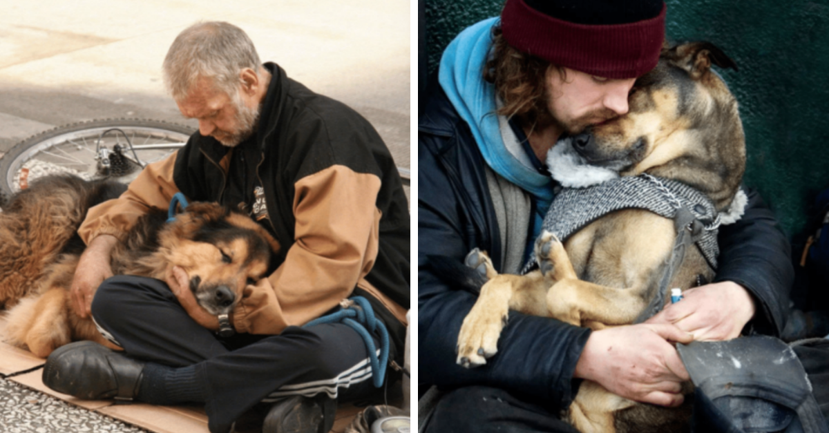 15 Pictures That Prove Dogs Are Mans Best Friend - grandgoldman.com