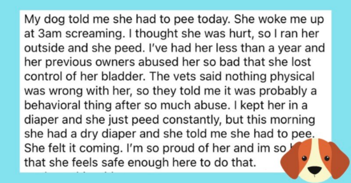 Wholesome Stories Of Rescue Dogs Building Trust With Their Humans Will Warm Your Heart - grandgoldman.com