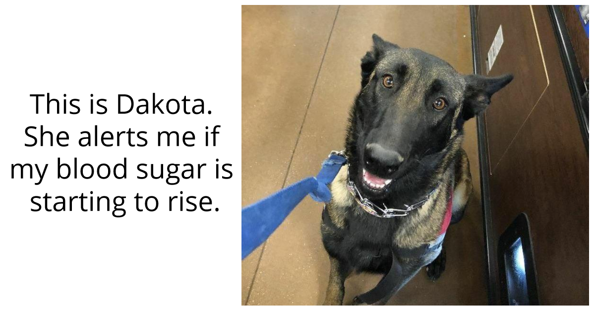 26 Hardworking Dogs Who Are “Employee Of The Month” Contenders