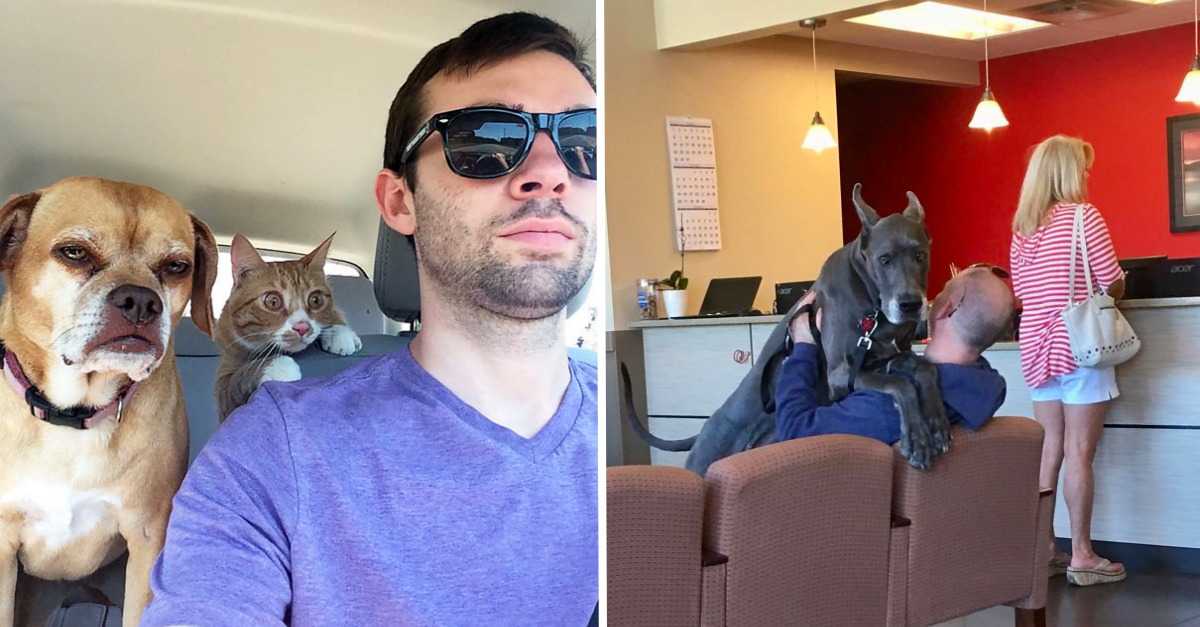 40 Funniest Reactions Of Dogs Who Realized They’re Going To Vet Not Dog Park