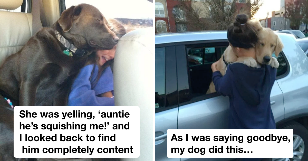 You Can Hide But You Can’t Escape Dog Love (14 Pics)