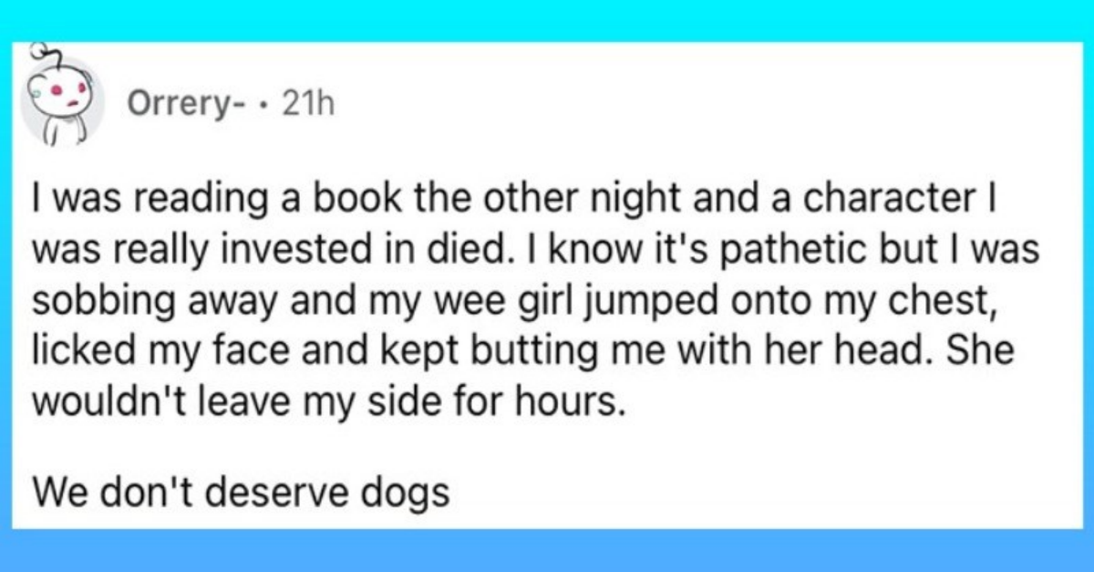 Heartwarming Moments When Dogs Took Care Of Their Beloved Owners And Not The Other Way Around