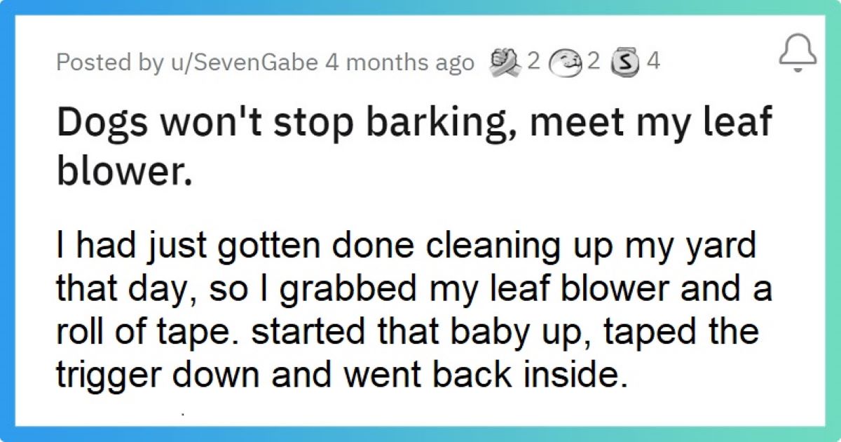 Guy Uses Leaf Blower And Tape To Teach A Lesson To His Neighbor Whose Dog Would Not Stop Barking - grandgoldman.com