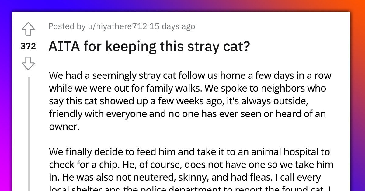 Redditor Calls Police On Woman Who Claimed The Stray Cat They Adopted Was Hers