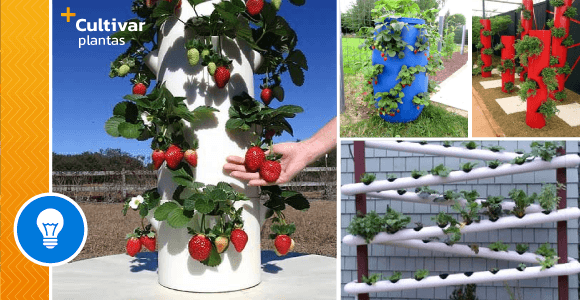 16 ingenious tricks to have your own garden at home! - grandgoldman.com