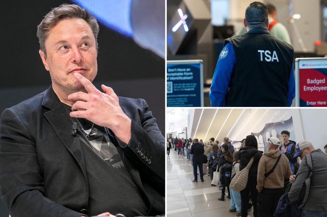 Elon Musk Offers to Pay TSA as Airport Chaos Grows - grandgoldman.com