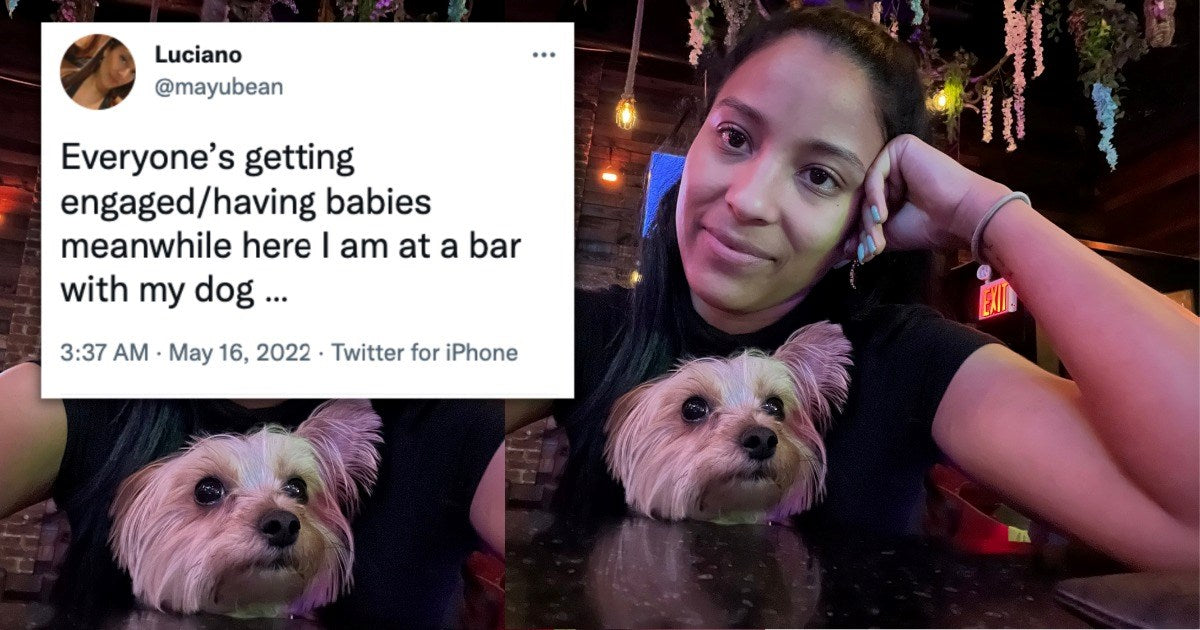 15 Of The Funniest Dog Tweets That Will Put A Smile On Your Face