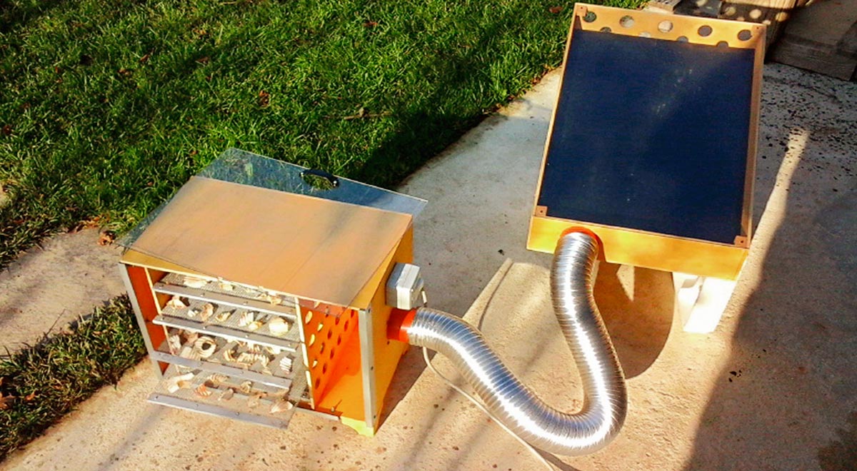 DIY Solar Dehydrator: Build It in 15 Steps | GrandGoldman